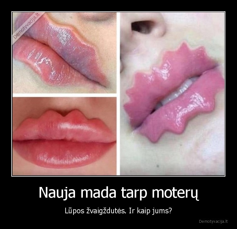 lupos,zvaigzdutes,zvaigzdes,mada