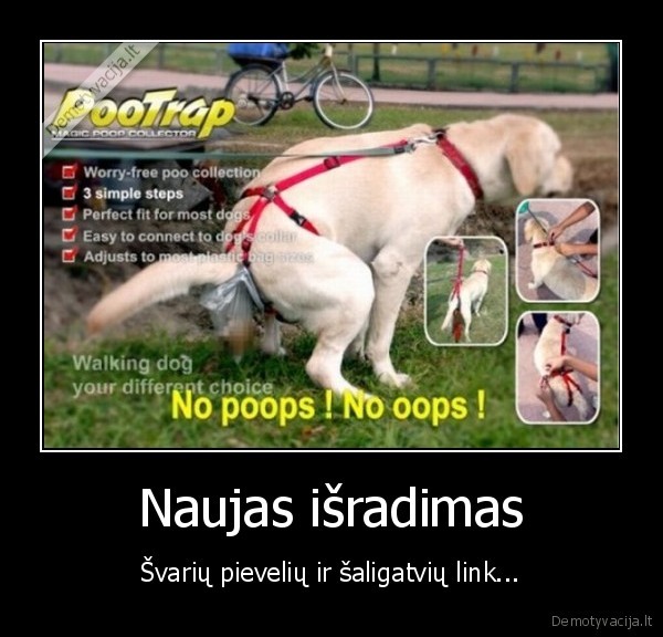 kubilius, yra, sudas,taupumas,lengvumas