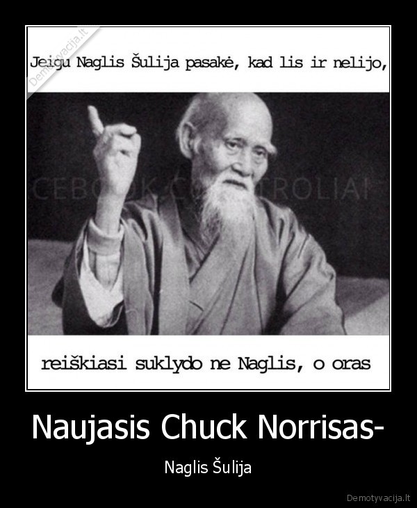 Naujasis Chuck Norrisas-