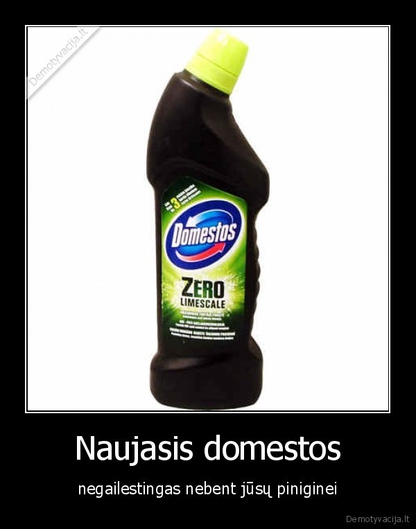 Naujasis domestos