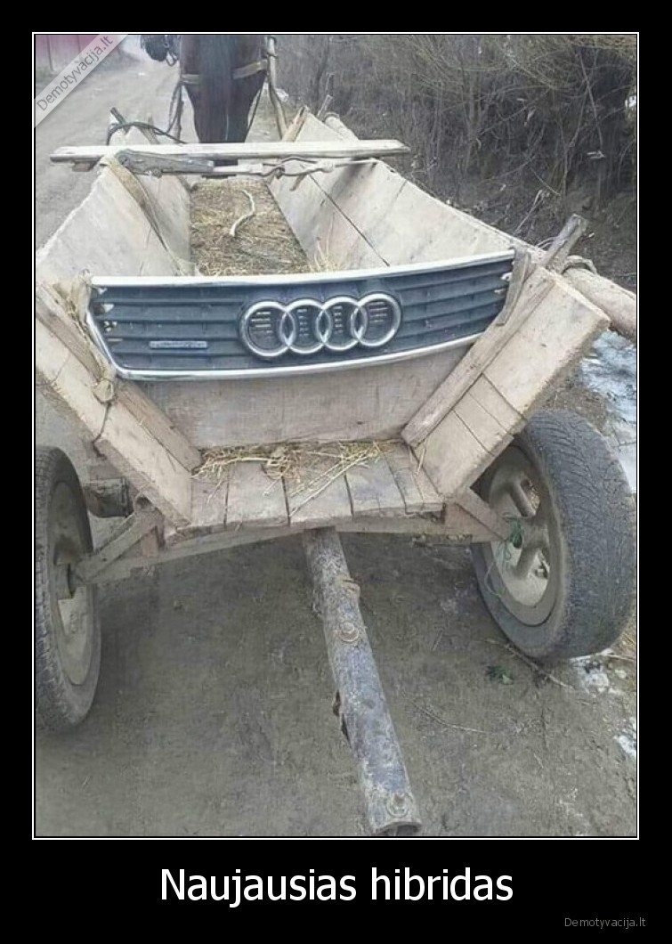 audi,hibridas