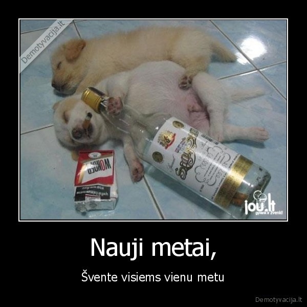 sventes, nauji, metai, sunys