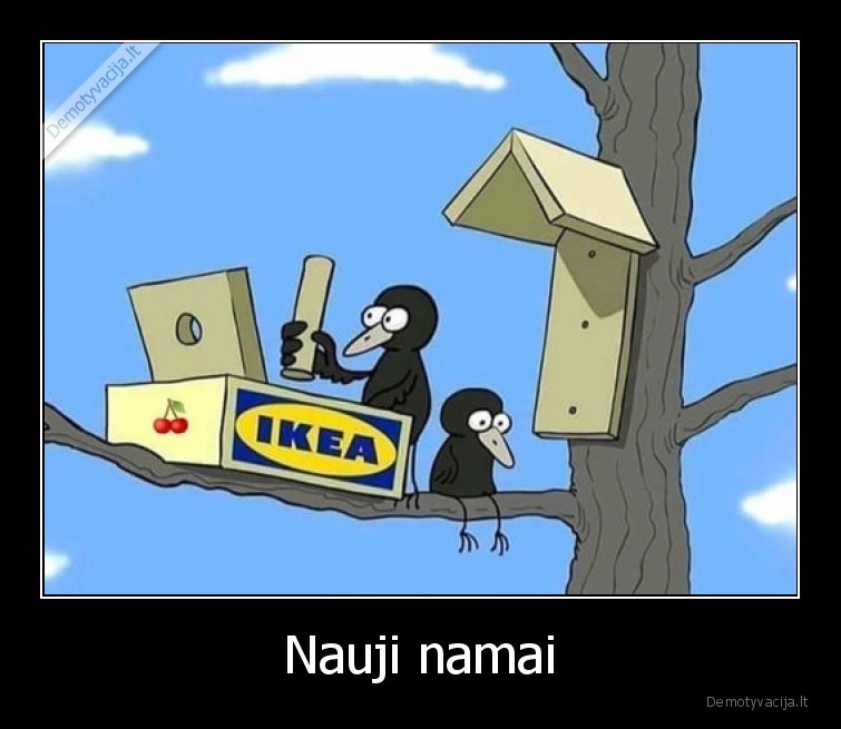 ikea,nauji, namai