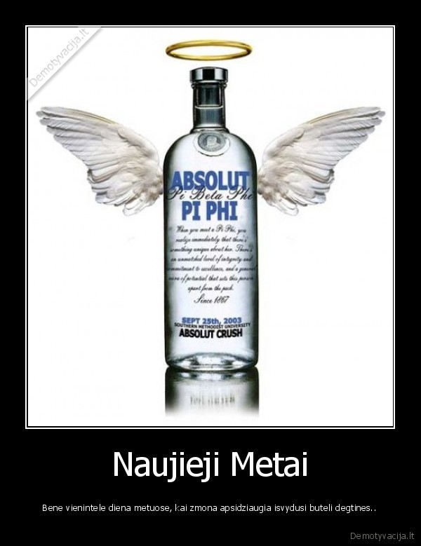 naujieji,metai,vodka,degtine,svente,stebuklas