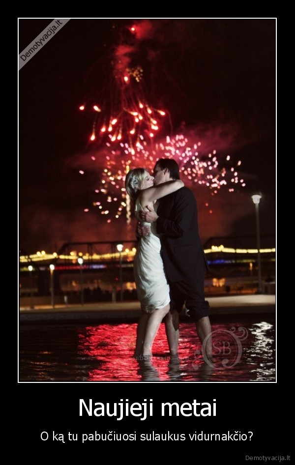 meile,naujieji,metai,ka,buciuosi,siais,metais