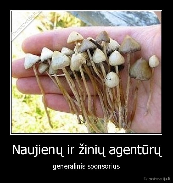 grybai,zinios,haliucinacijos