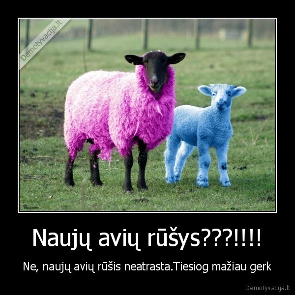 Naujų avių rūšys???!!!!