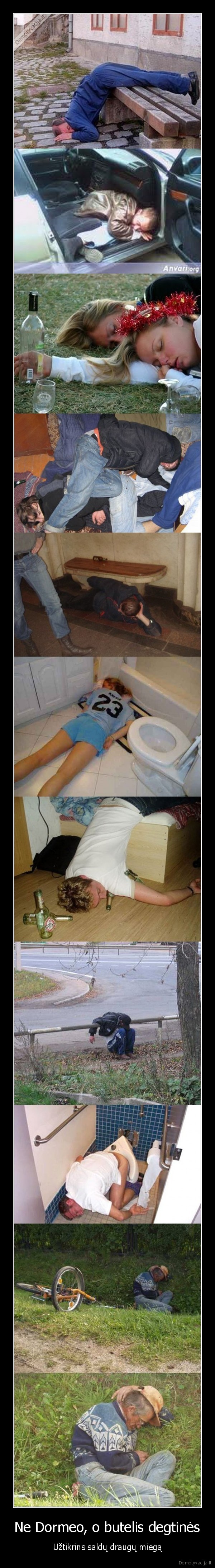 Ne Dormeo, o butelis degtinės