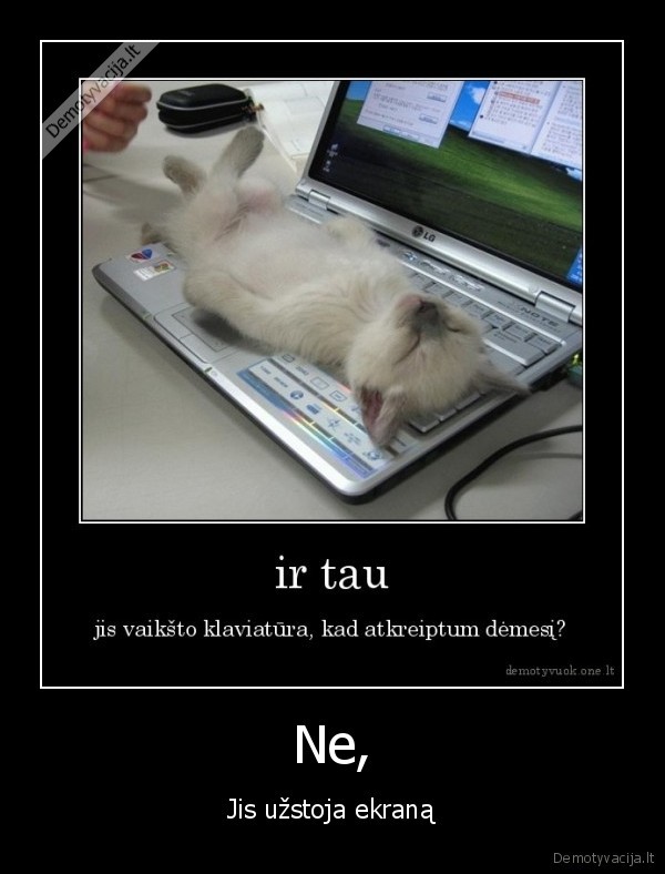 katinas,daro,uzstoja,uzstoti,ekranas,monitorius,kate