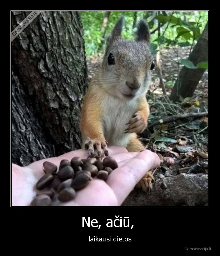 dieta,vovere,riesutai