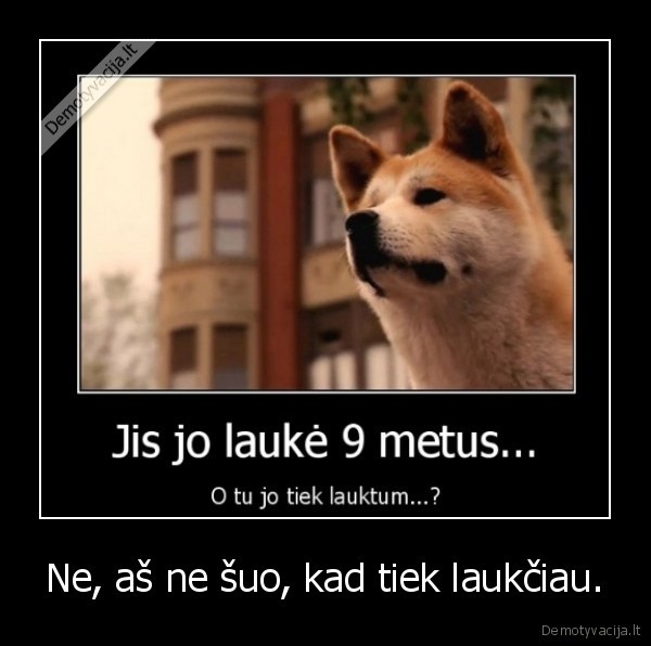 ne,as, ne, suo,kad, tiek, laukciau