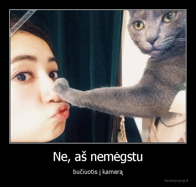 buciuotis,i, kamera,katinas,mergina