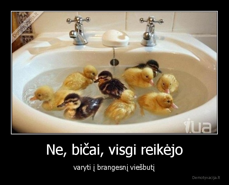 anciukai,viesbutis,plaukia