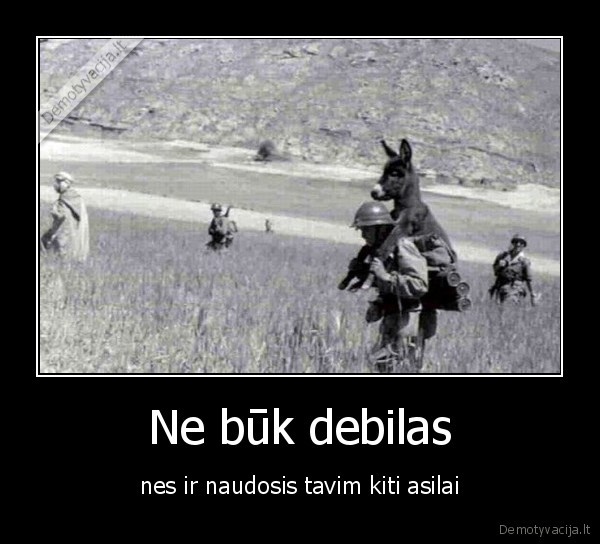 asilas, ne, buk, tu, asile, d
