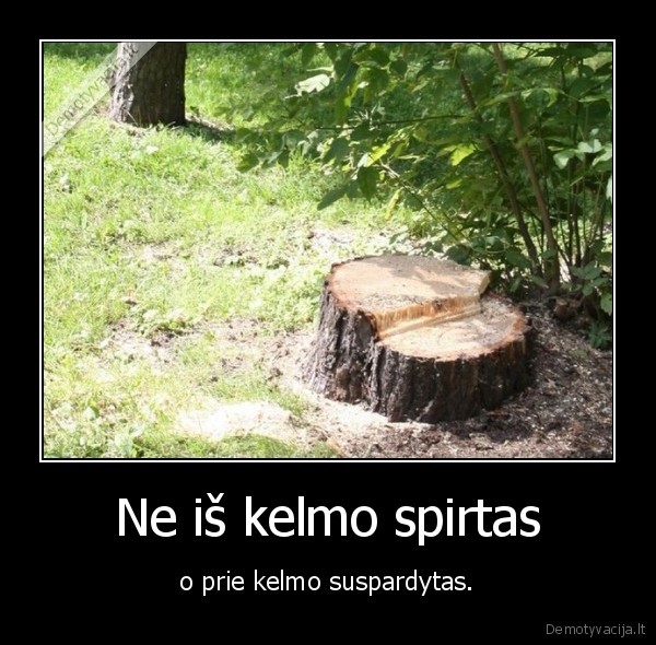 Ne iš kelmo spirtas