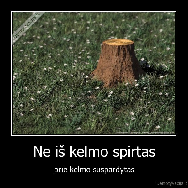 kelmas, spirtas, suspardytas