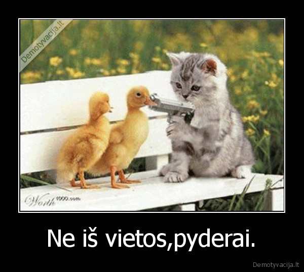 Ne iš vietos,pyderai.