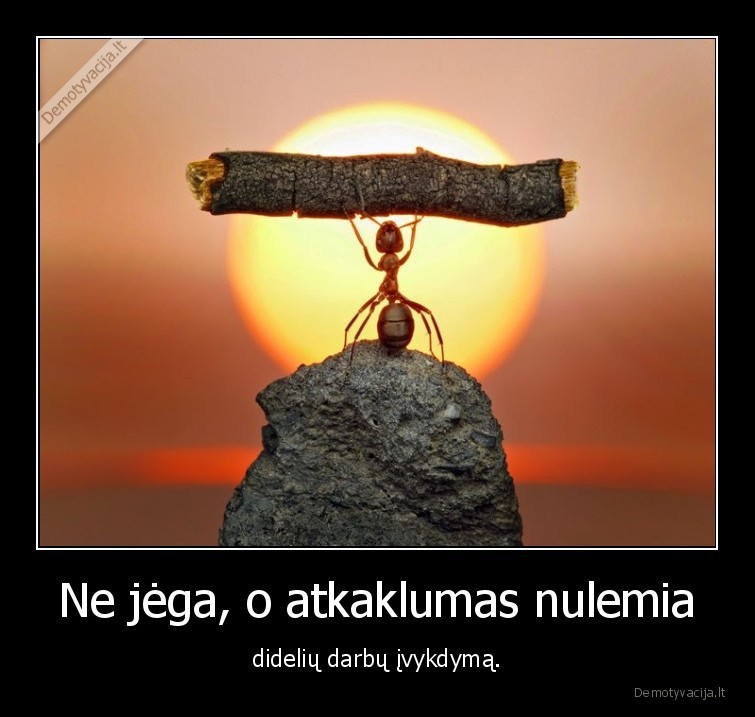 jega,atkaklumas,skruzde,darbai