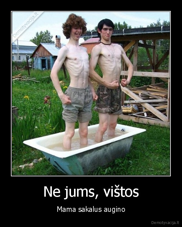 kudi, bernai,sakalai,kieti, bicai