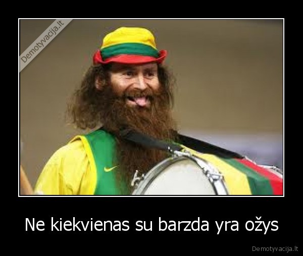 ko, ziuri, eik, kast, sniego