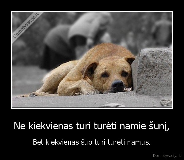 Ne kiekvienas turi turėti namie šunį,