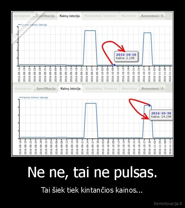 kaina,pulsas,nepastovumas,sky