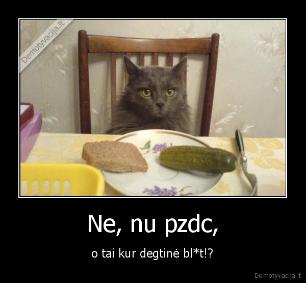 Ne, nu pzdc,