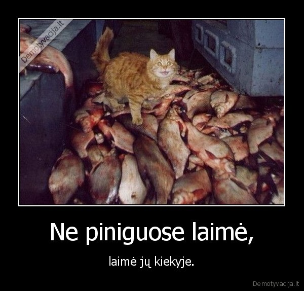 Ne piniguose laimė,