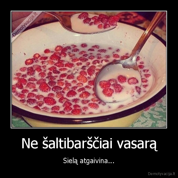 zemuoges, su, pienu,sriuba,vasara