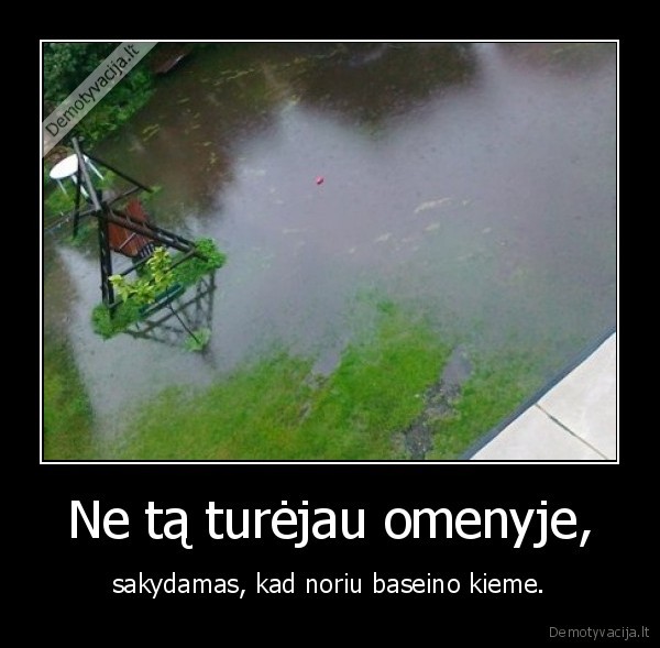 Ne tą turėjau omenyje,