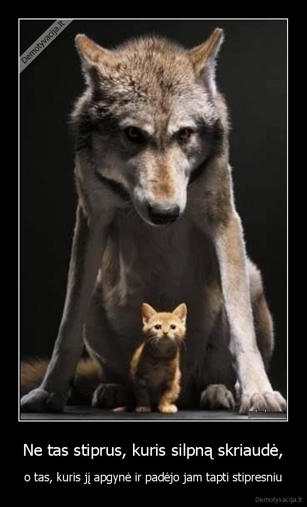 silpnas, apginti, stiprus