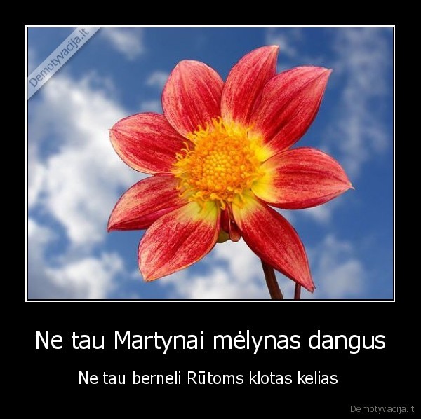 Ne tau Martynai mėlynas dangus