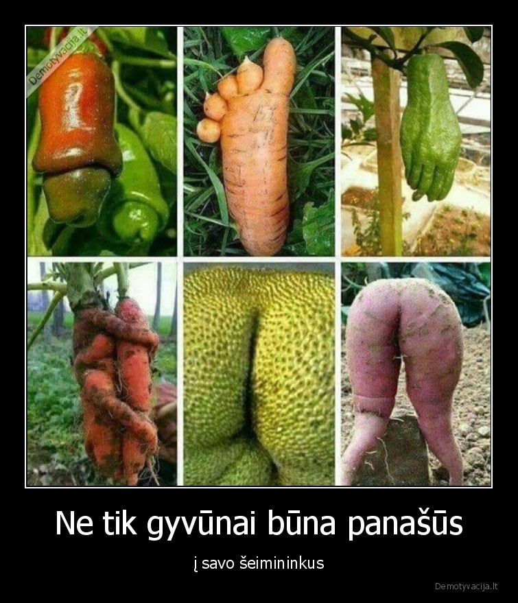 darzoves,zmogus,panasumas