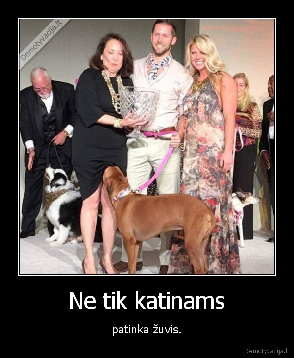 suo,kate,moteris,zuvis