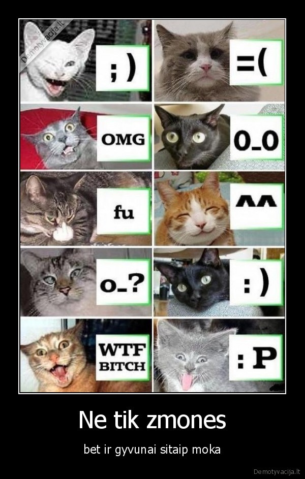 smailai,katinai,linksmi