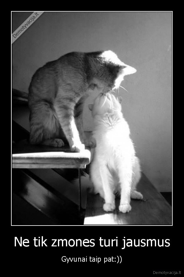 Ne tik zmones turi jausmus