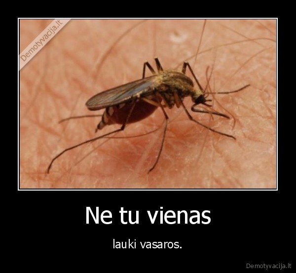 uodas,uodai,kurva,kanda,aaaa