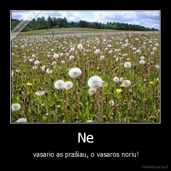 turbut, ir, vasara, dings, per, irma, 