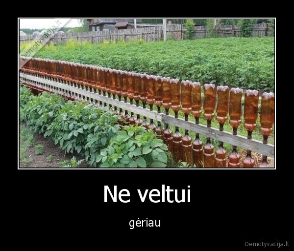 Ne veltui