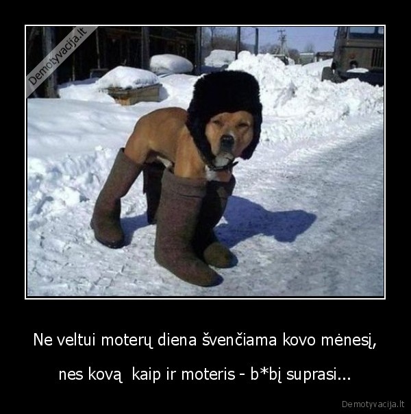 kovas,sniegas,moterys