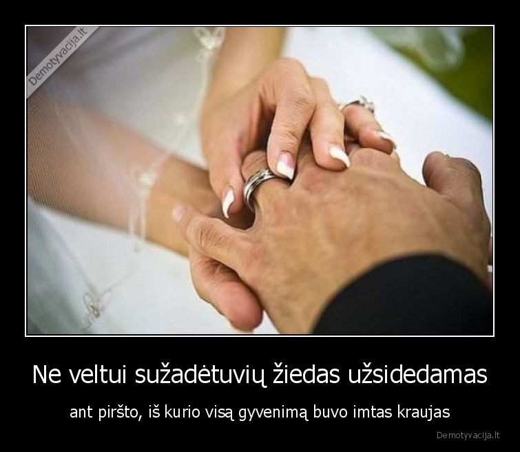 suzadetuviu,ziedas,kraujas