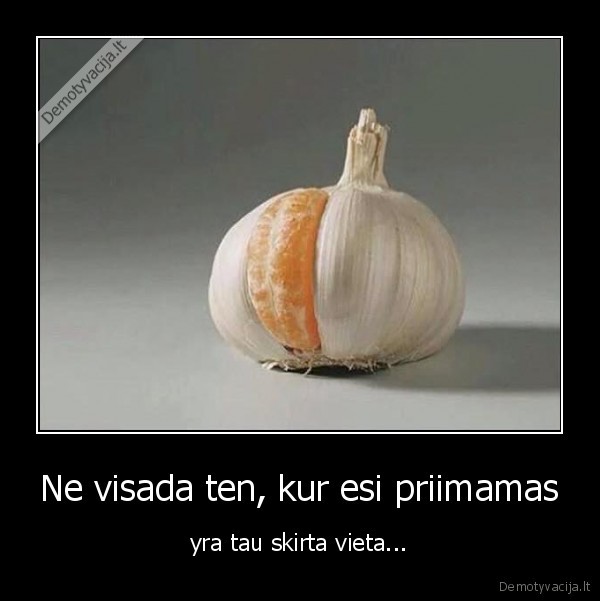 cesnakas,apelsinas,mandarinas