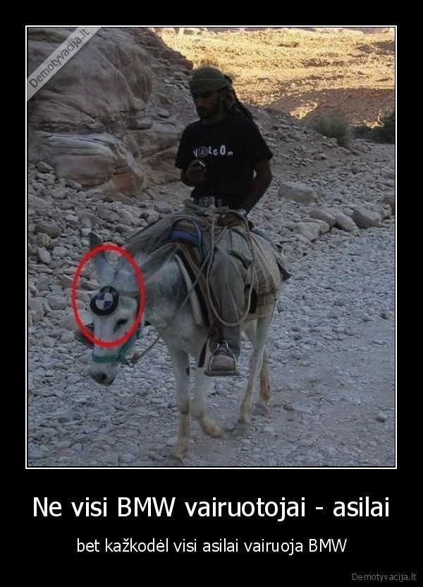 Ne visi BMW vairuotojai - asilai