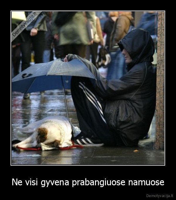 Ne visi gyvena prabangiuose namuose