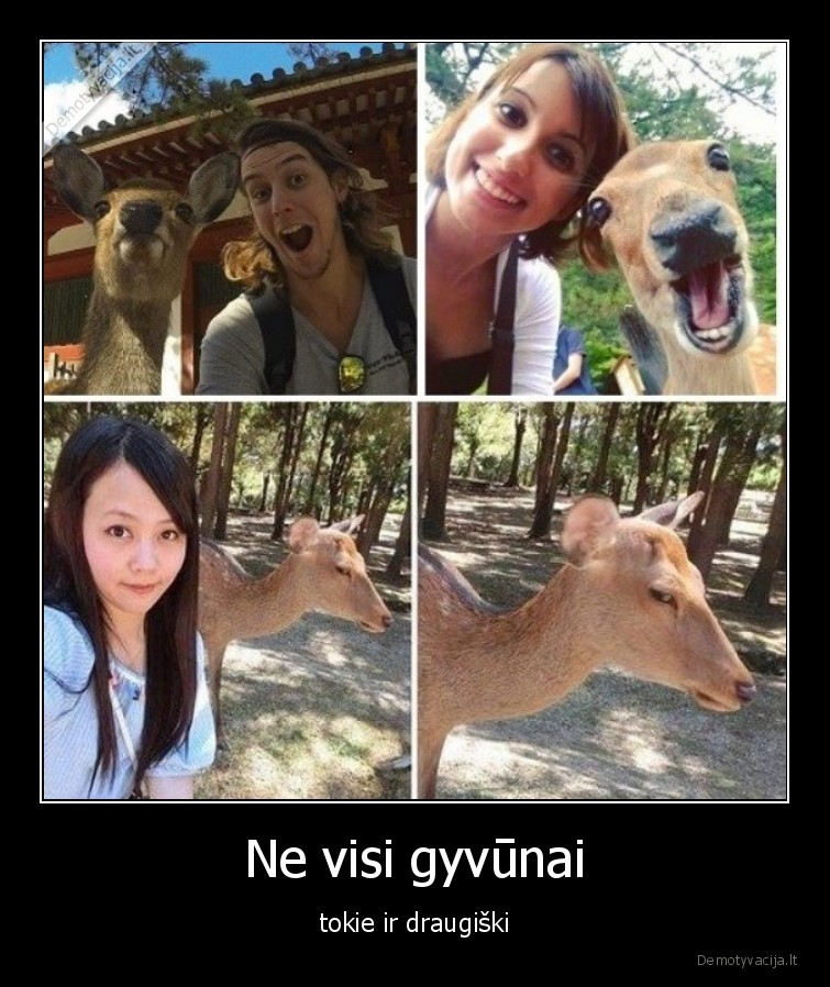 gyvunai,ne, visi,draugiski,asmenukes,nuotraukos