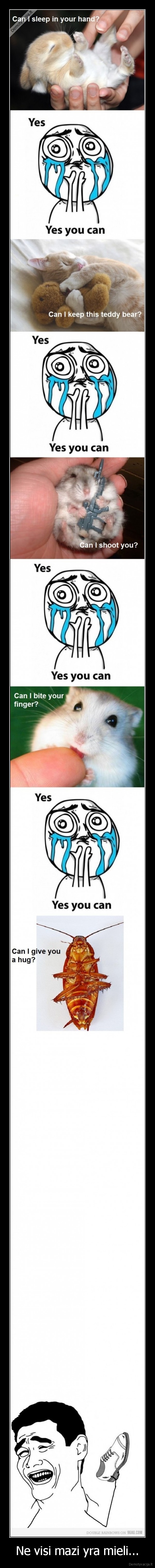 tarakaskes, su, tapke, trenkt