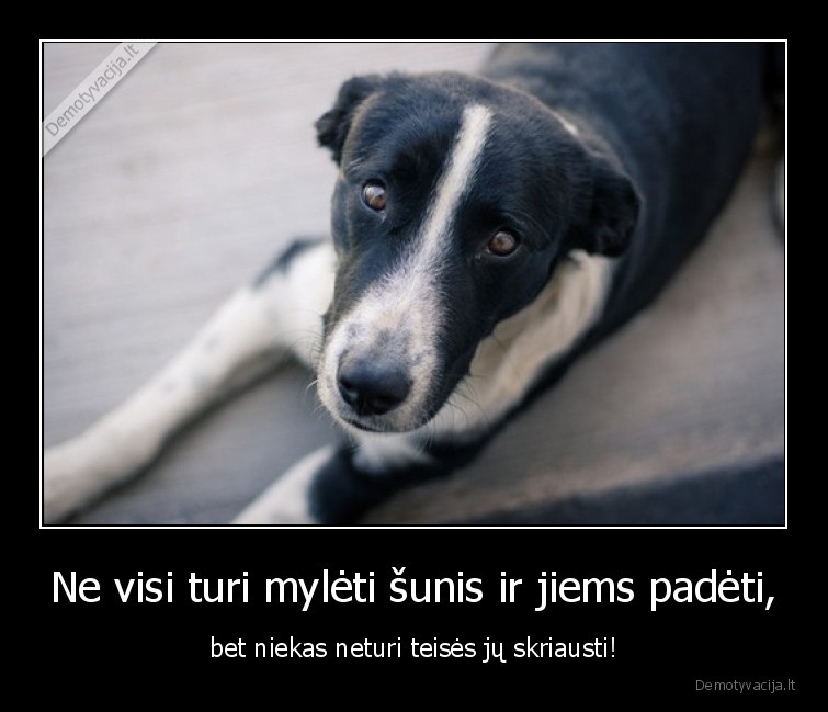 sunys,skriausti,padeti