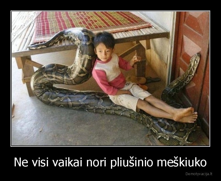 meskiukas,vaikai,nori,ne,zaislu