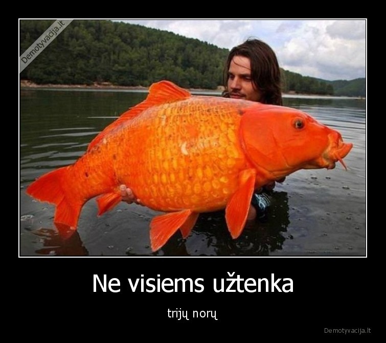 trys, norai,auksine, zuvele,uztenka,ne, visiems