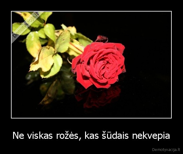 Ne viskas rožės, kas šūdais nekvepia